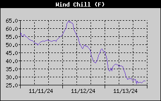 Wind Chill History